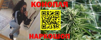 прущие крисы Можайск