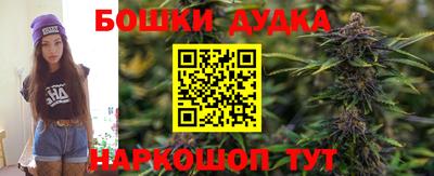 стаф Нальчик