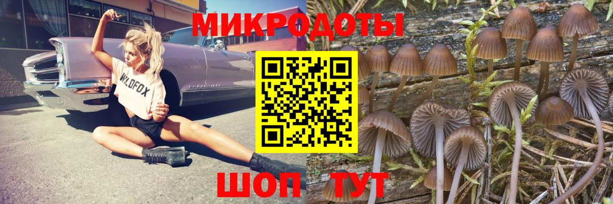 Псилоцибиновые грибы ЛСД Владимир